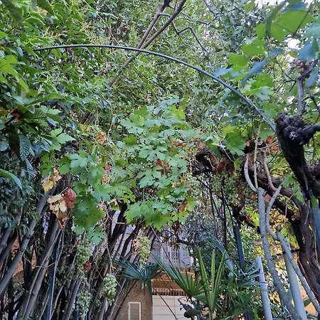 Secret Villa's Garden ホームステイ ペルージャ