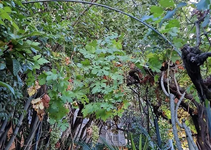 Secret Villa's Garden Alloggio in famiglia Perugia